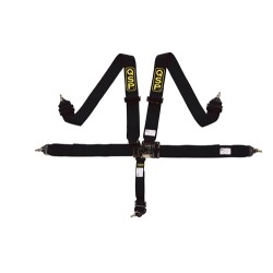 QSP 5-punts gordel Nascar style 